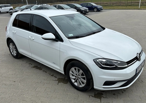 Volkswagen Golf cena 63900 przebieg: 58523, rok produkcji 2019 z Rzepin małe 29